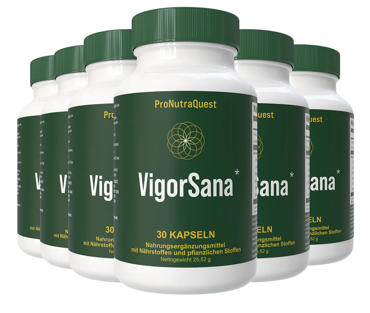 VigorSana special discount